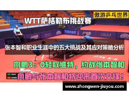 张本智和职业生涯中的五大挑战及其应对策略分析