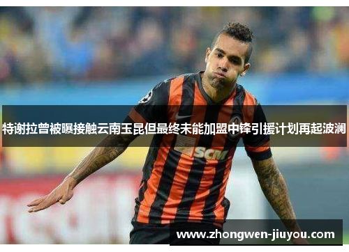 特谢拉曾被曝接触云南玉昆但最终未能加盟中锋引援计划再起波澜