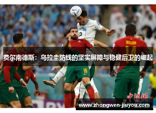 费尔南德斯：乌拉圭防线的坚实屏障与稳健后卫的崛起